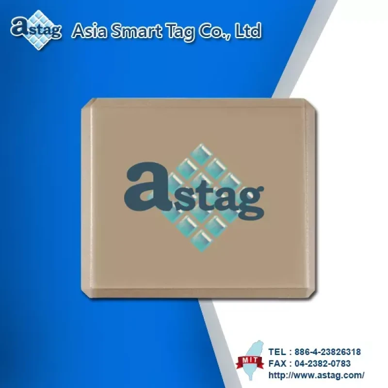 RFID Metal Tag (UHF)